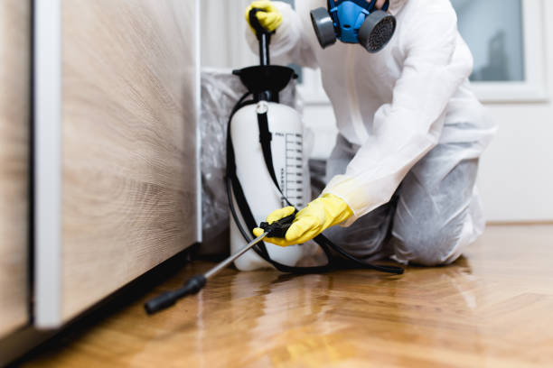 Best Commercial Pest Control Services  in King, NC