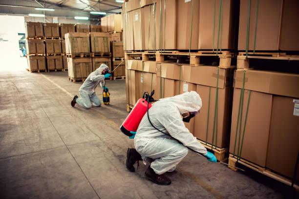 Pest Prevention Services in King, NC