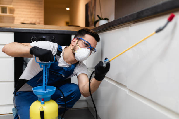 Reliable King, NC Pest Control Solutions
