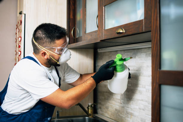 Best Pest Prevention Services  in King, NC