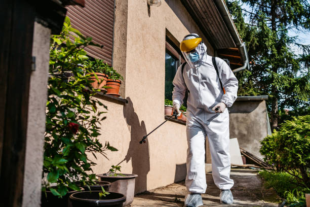 Best Affordable Pest Control Services  in King, NC