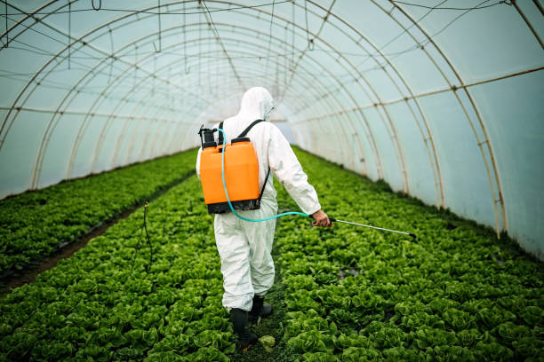 Best Affordable Pest Control Services  in King, NC