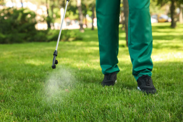 Best Wildlife Control Services  in King, NC