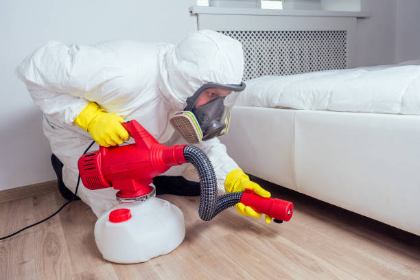 Best Bed Bug Extermination  in King, NC