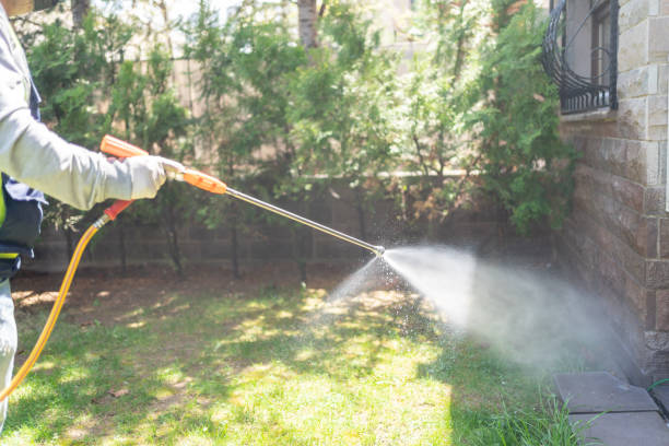 Best Best Pest Control Companies  in King, NC