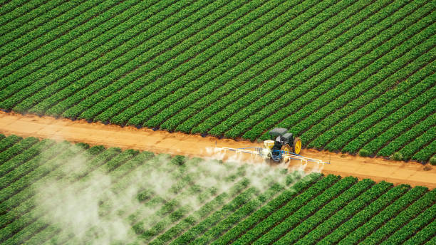 Best Mosquito Control Services  in King, NC